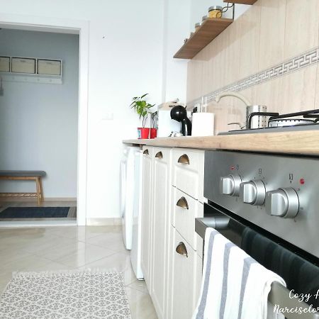 Cozy Apartment Narciselor Suceava Ipotesti  Zewnętrze zdjęcie