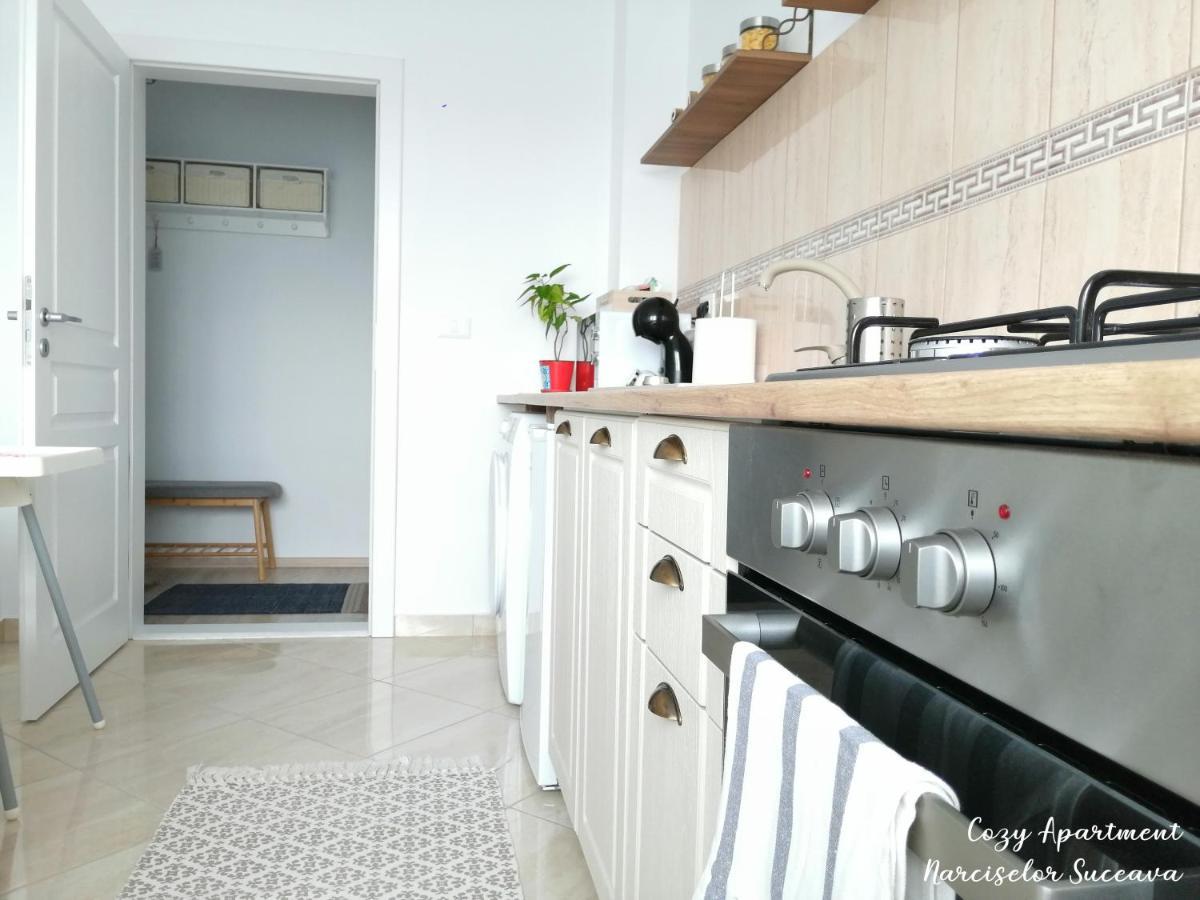 Cozy Apartment Narciselor Suceava Ipotesti  Zewnętrze zdjęcie