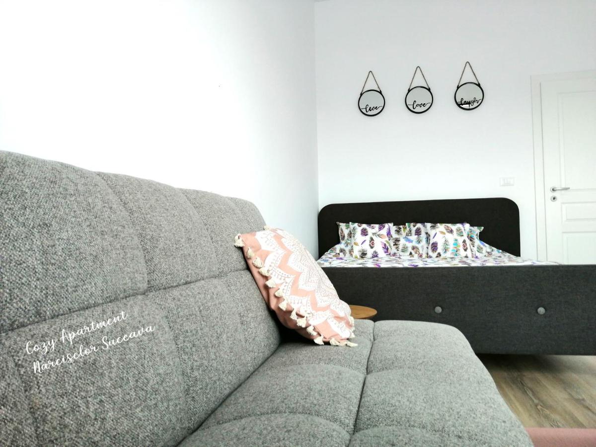 Cozy Apartment Narciselor Suceava Ipotesti  Zewnętrze zdjęcie