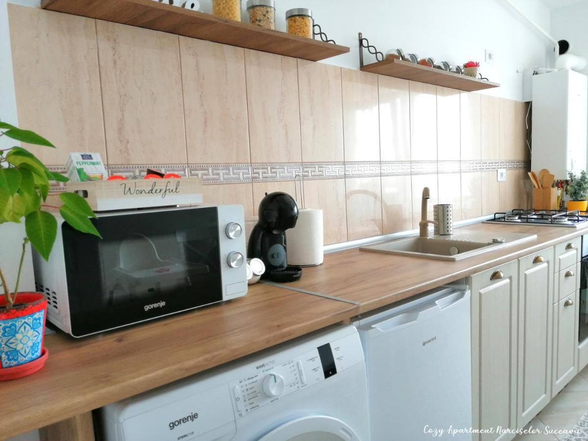 Cozy Apartment Narciselor Suceava Ipotesti  Zewnętrze zdjęcie