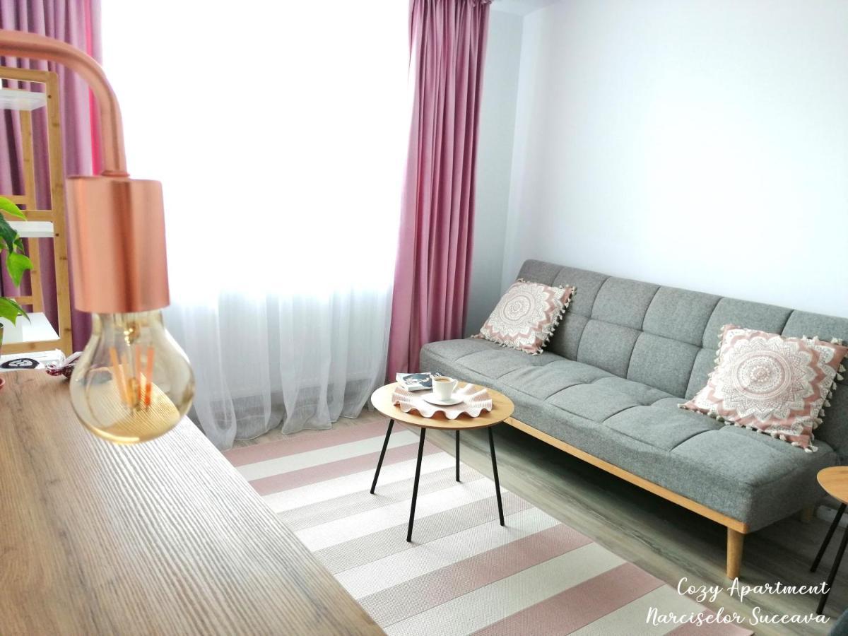 Cozy Apartment Narciselor Suceava Ipotesti  Zewnętrze zdjęcie