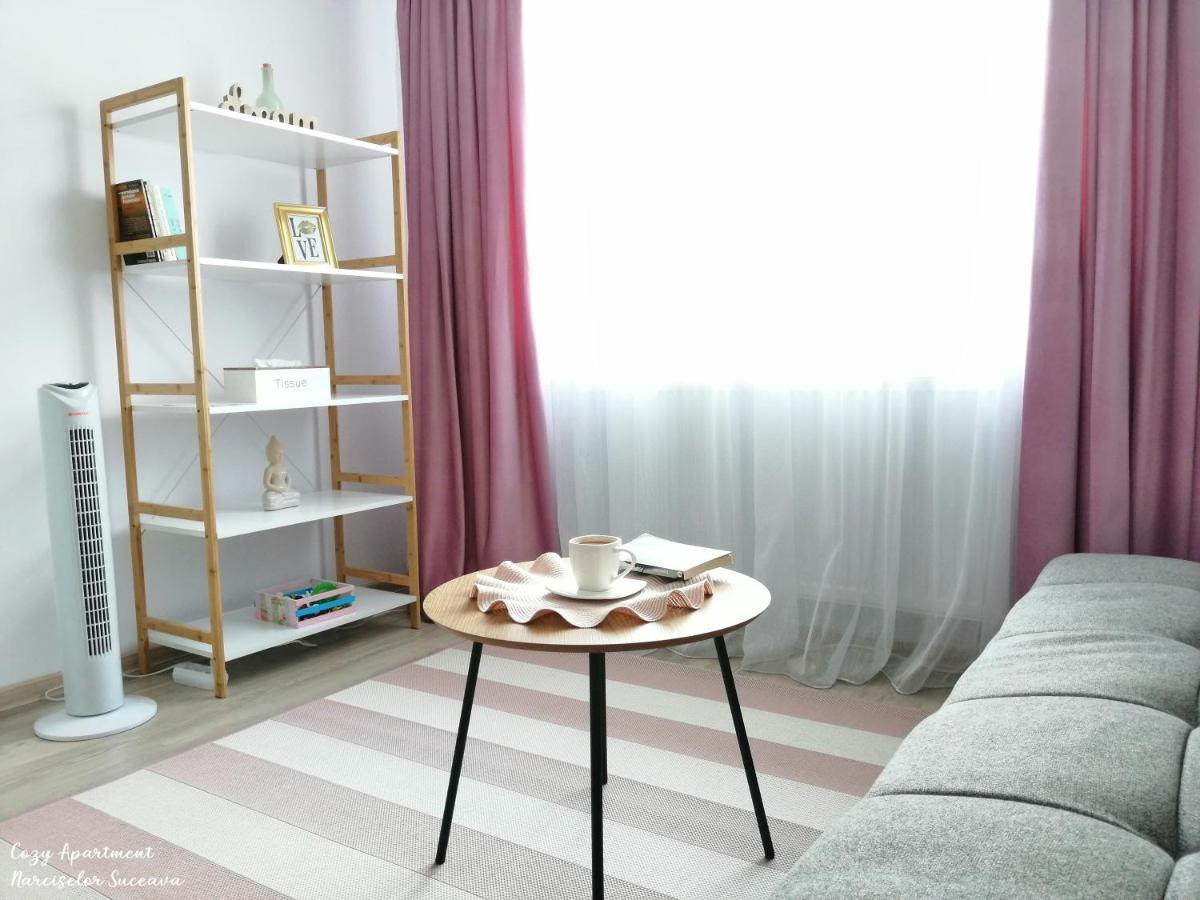 Cozy Apartment Narciselor Suceava Ipotesti  Zewnętrze zdjęcie