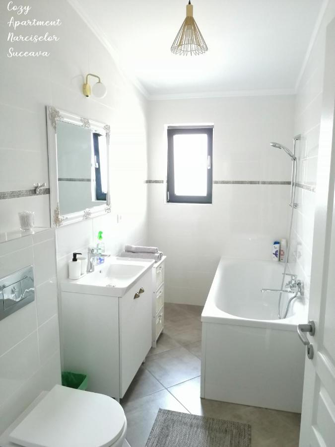 Cozy Apartment Narciselor Suceava Ipotesti  Zewnętrze zdjęcie