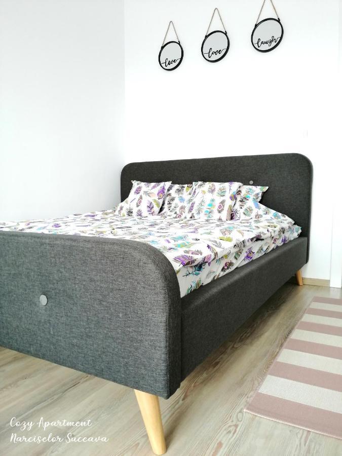 Cozy Apartment Narciselor Suceava Ipotesti  Zewnętrze zdjęcie