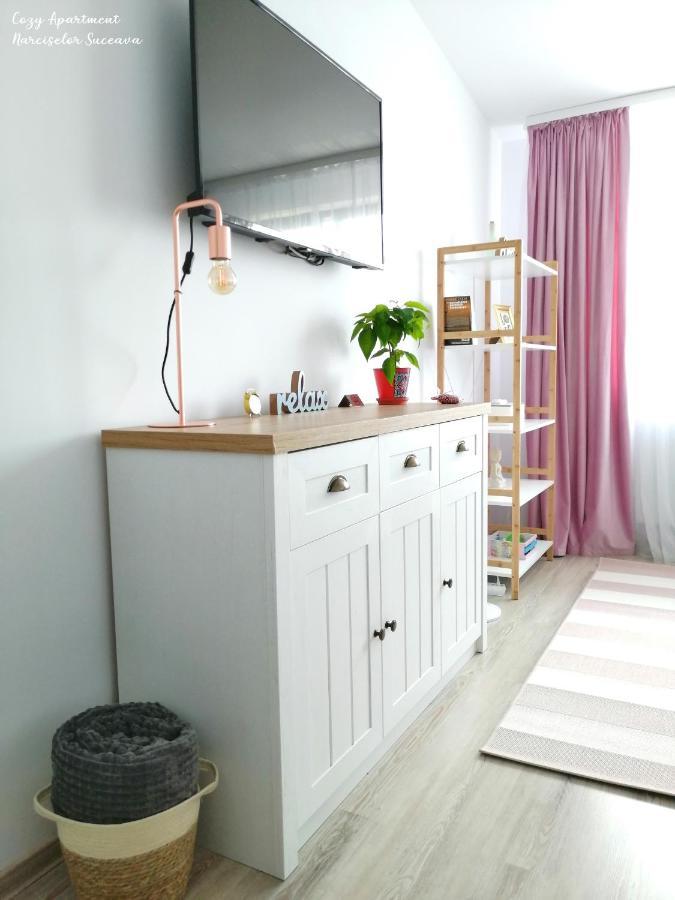 Cozy Apartment Narciselor Suceava Ipotesti  Zewnętrze zdjęcie