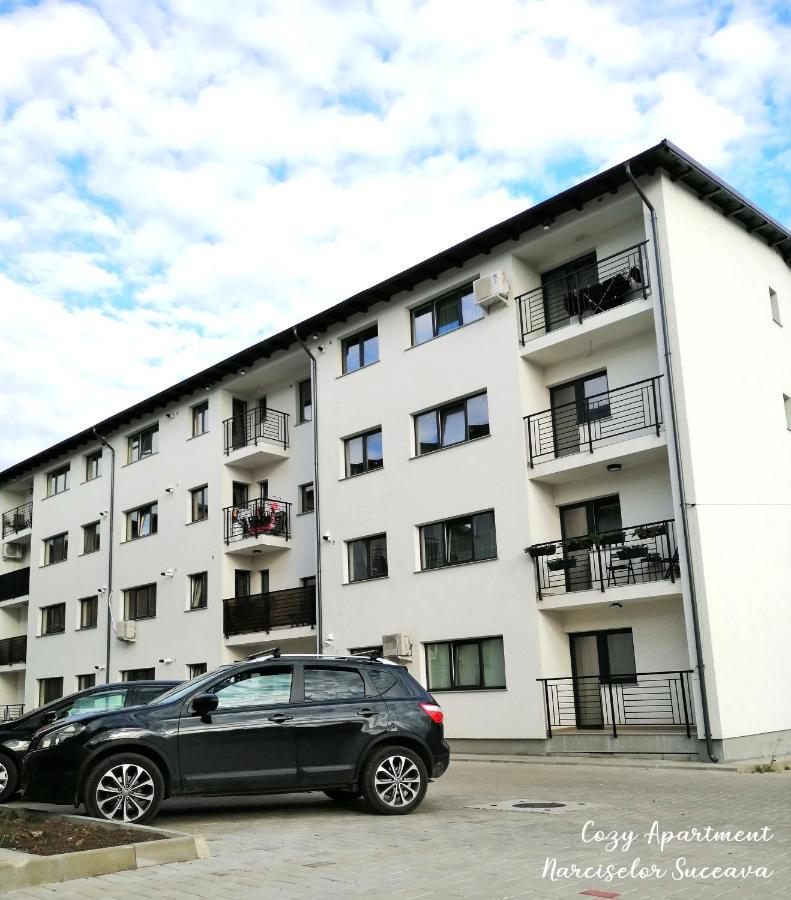 Cozy Apartment Narciselor Suceava Ipotesti  Zewnętrze zdjęcie