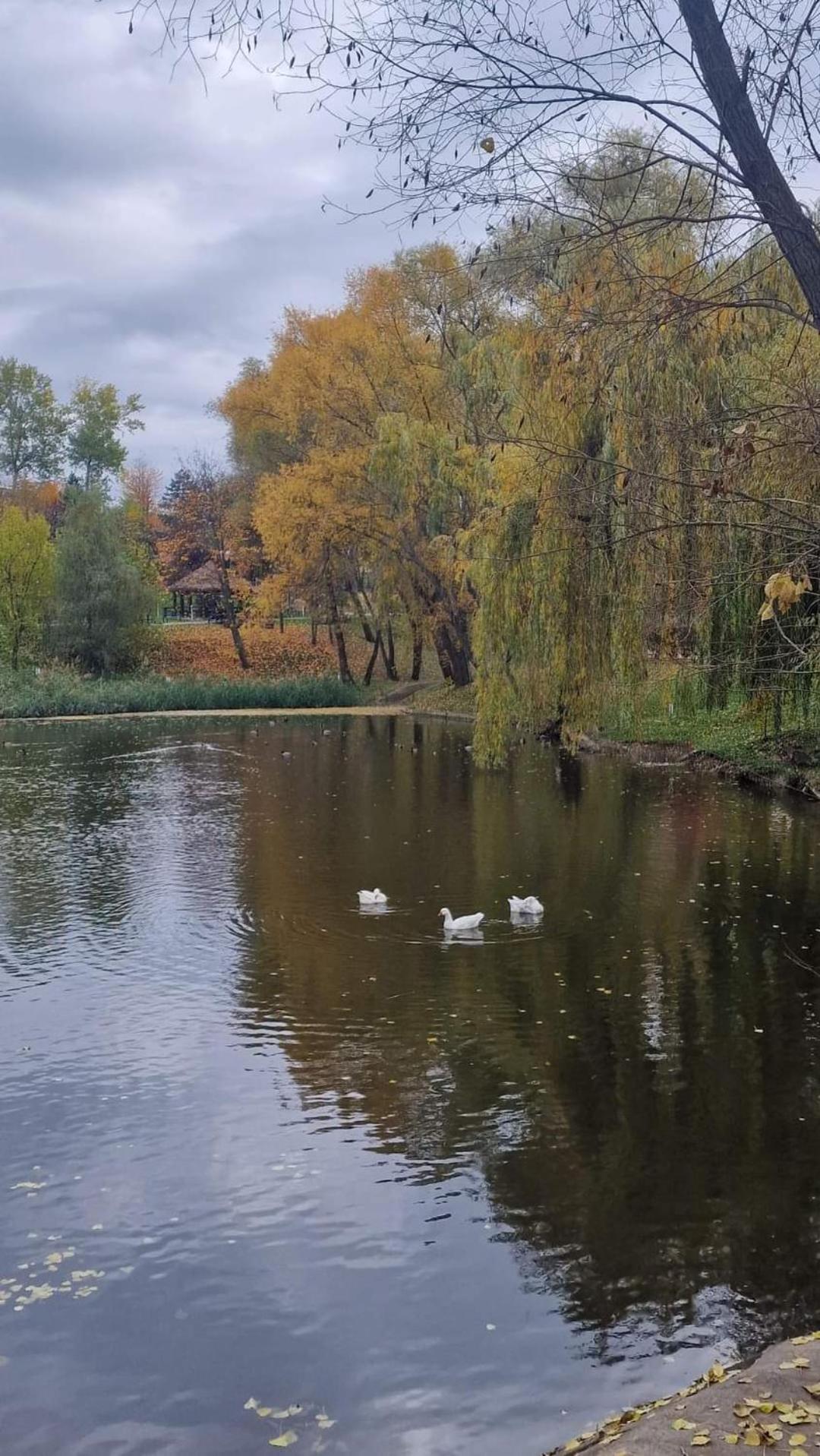 Cozy Apartment Narciselor Suceava Ipotesti  Zewnętrze zdjęcie