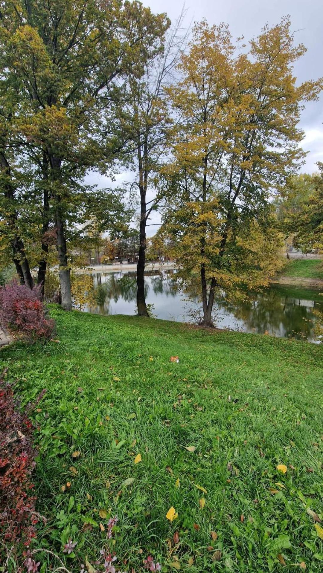 Cozy Apartment Narciselor Suceava Ipotesti  Zewnętrze zdjęcie